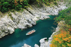 Tokushima Private Car Charter Day Tour: Otsuka Museum of Art - Naruto Whirlpools - Iya Kazurabashi Vine Bridge (Customize Your Itinerary)