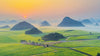Chartered tour of Kunming, Yunnan + Luoping Canola Flower Sea one - day chartered tour