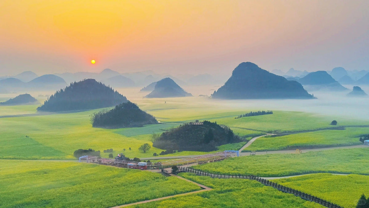 Chartered tour of Kunming, Yunnan + Luoping Canola Flower Sea one - day chartered tour