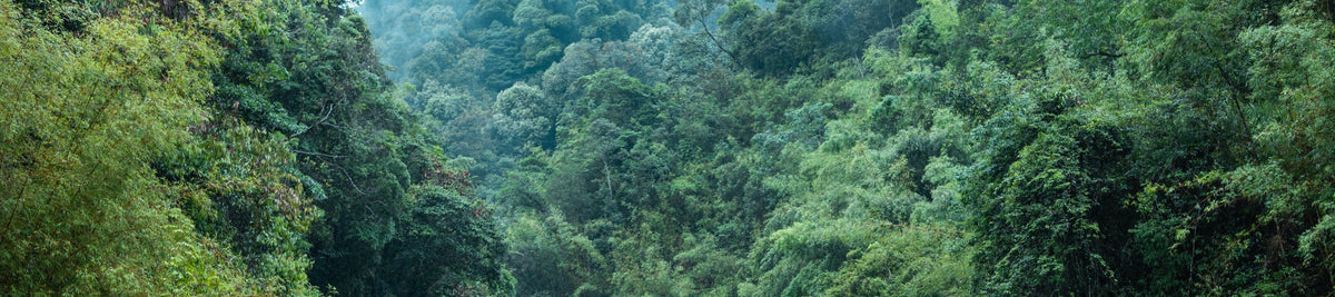 Shenzhen - Huizhou private car transfer to Huizhou Nankun Mountain