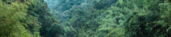 Shenzhen - Huizhou private car transfer to Huizhou Nankun Mountain