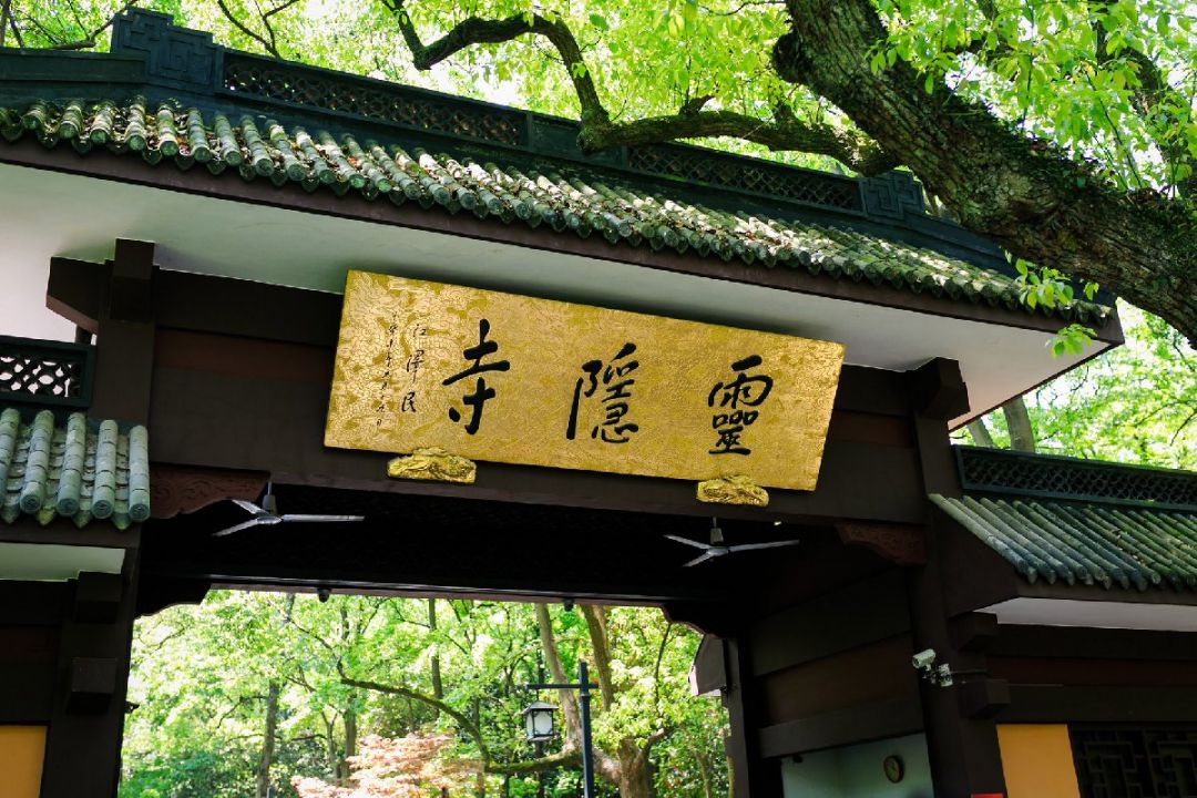 Chartered Car Service to Cities Around Hangzhou (Shanghai - Suzhou - Mount Putuo)