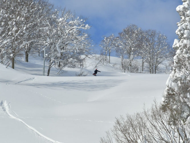 Winter limited ski private car charter: GALA Yuzawa, Naeba NAEBA, Hakuba ski resort (ski day trip - one - way transfer)