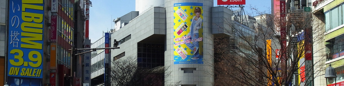 Tokyo City Half Day Customized Private Car Tour