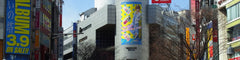 Tokyo City Half Day Customized Private Car Tour