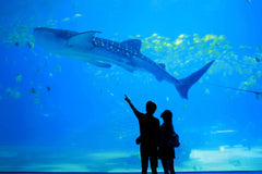 Zhuhai Chimelong 2 - hour travel photography + private car transfer