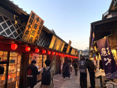 Tokyo Private Chartered Car Day Tour (Customizable Itinerary)