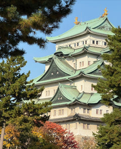 [Nagoya Chartered Car Day Trip] (Green License Plate 7 - seater - 10 - seater, Port - Airport - Hotel Transfer, Japanese - speaking Driver Customized)