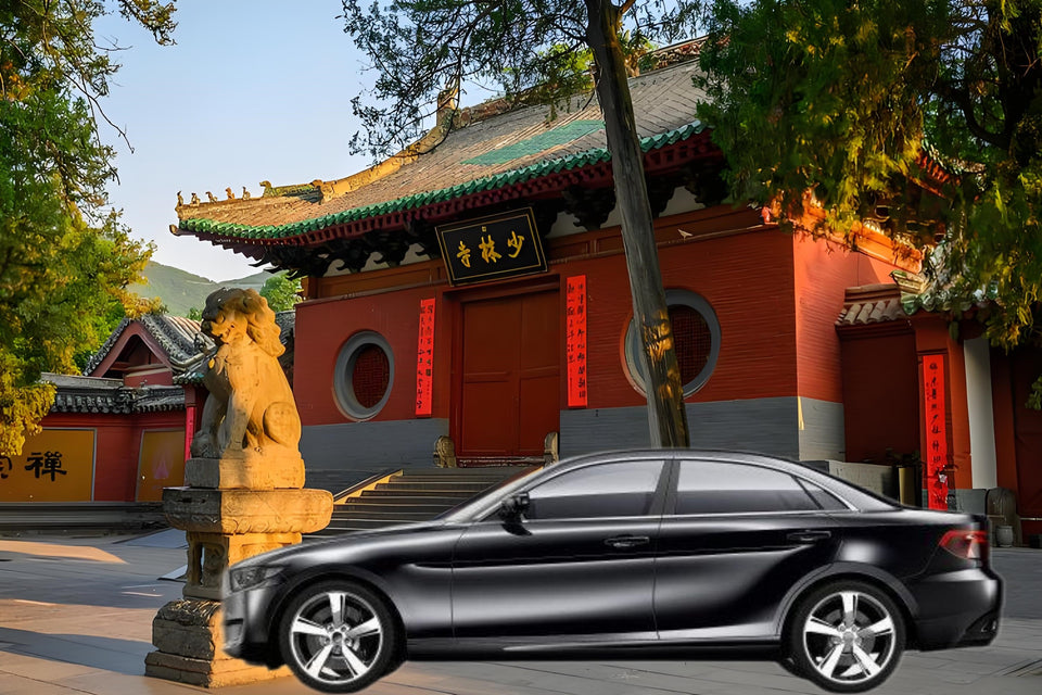 Longmen Grottoes, Shaolin Temple, Luoyang Museum, and private car charter for a day trip in Luoyang