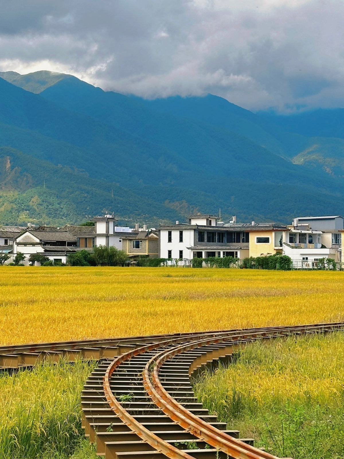 Private Car Charter Tour: One - Day Tour of Erhai Lake, Dali, Yunnan