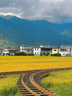 Private Car Charter Tour: One - Day Tour of Erhai Lake, Dali, Yunnan