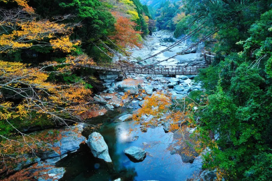 Tokushima Private Car Charter Day Tour: Otsuka Museum of Art - Naruto Whirlpools - Iya Kazurabashi Vine Bridge (Customize Your Itinerary)