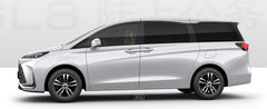 Xi'an Attractions Private Car Charter (Chinese - English Service)