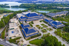 East Lake Scenic Area & Hubei Provincial Museum & Optics Valley Pedestrian Street Private Car Day Tour