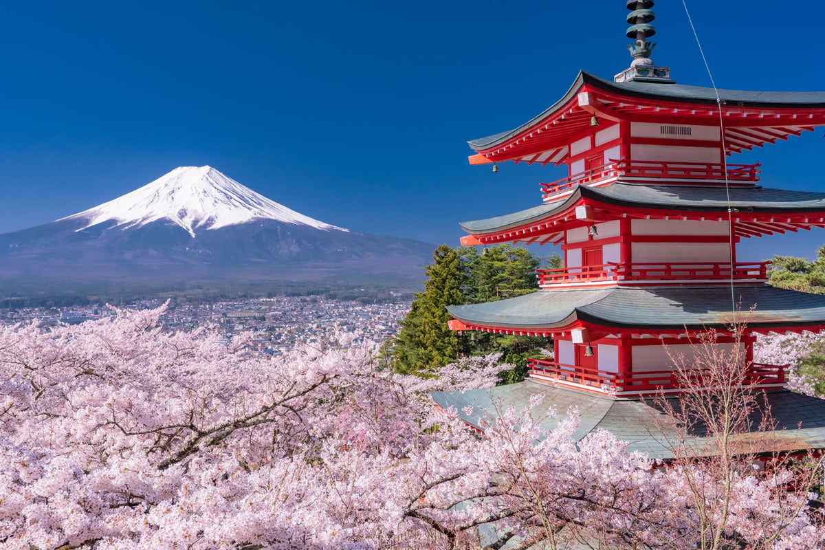 Mount Fuji Private Chartered Day Trip (From Tokyo)