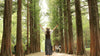 Gyeonggi - do Private Car Charter