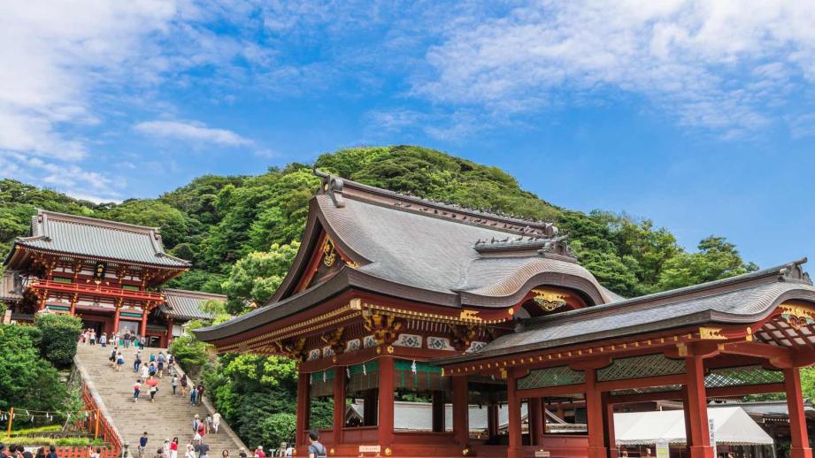 Kamakura Great Buddha & Hakone Shrine Transfer & Private Car Day Tour