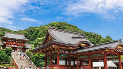 Kamakura Great Buddha & Hakone Shrine Transfer & Private Car Day Tour