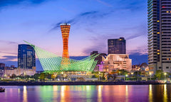 10 - Hours Kobe Private Car Tour with Driver (From Osaka)