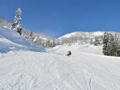 Winter limited ski private car charter: GALA Yuzawa, Naeba NAEBA, Hakuba ski resort (ski day trip - one - way transfer)