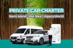 Seoul Private Car Charter to Nami Island - Alpaca World - Rail bike