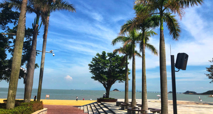 Chartered Day Tour of Zhuhai