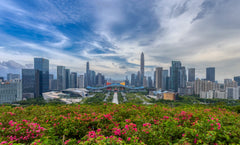 Lotus Hill Park, Shenzhen UpperHills, and Bijia Mountain Park Chartered One - Day Tour