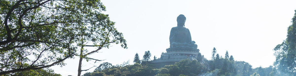 Ngong Ping 360 & Lantau Island Private Car Day Tour (From Guangdong)