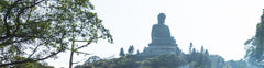 Ngong Ping 360 & Lantau Island Private Car Day Tour (From Guangdong)