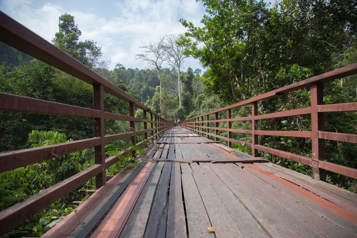1-Day, 2-Day, or 3-Day Khao Yai Nature & Wildlife Private Car Charter Tour from Bangkok