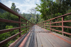 1-Day, 2-Day, or 3-Day Khao Yai Nature & Wildlife Private Car Charter Tour from Bangkok