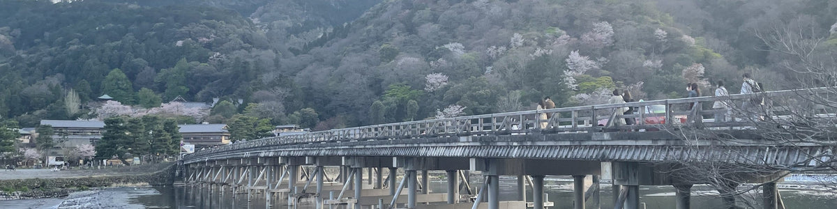 Kyoto and Nara Private Car Charter with English Speaking Guide