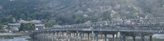 Kyoto and Nara Private Car Charter with English Speaking Guide