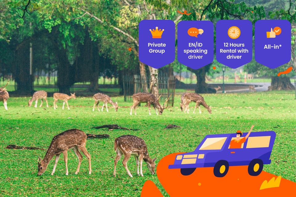 Bogor Private Car Charter