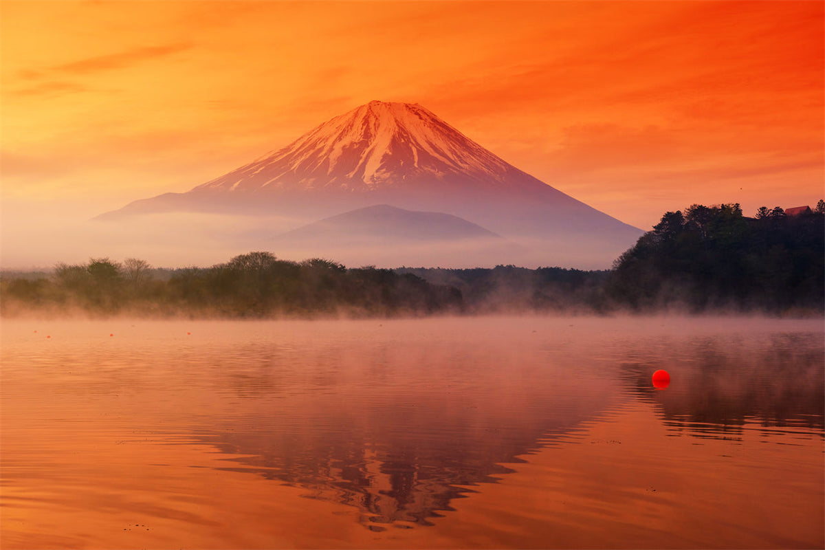 Mount Fuji - Hakone - Kamakura Private Car Day Tour (Hotel pick - up and drop - off - Multiple vehicle options available)