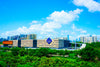 Shenzhen Sam's Club Chartered Day Tour