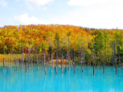 Hokkaido | Noboribetsu, Lake Toya, Asahikawa Private Chartered Day Tour | Customizable Itinerary