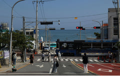 Private Car Charter Tour From Busan (Busan & Suburbs Tour)