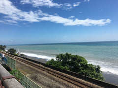 Taitung Private Car Tour: Mr. Brown Avenue - Sanxiantai - Duoliang Train Station (From Taitung)
