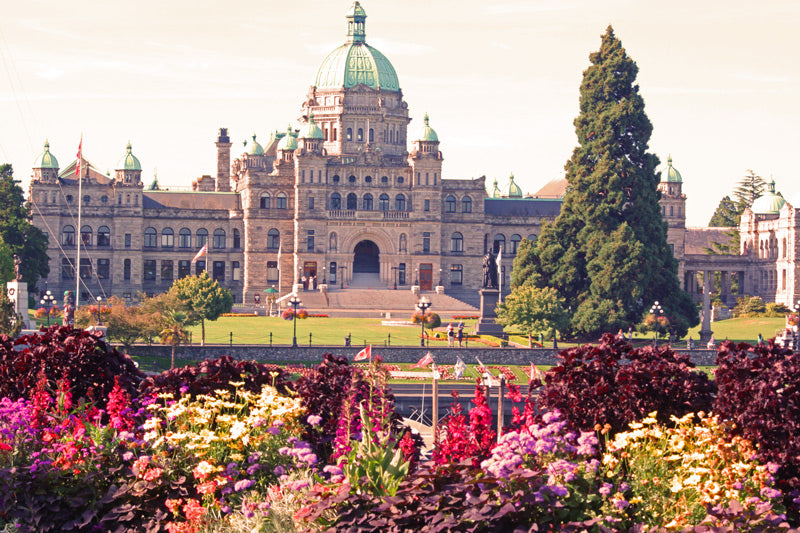Victoria Private Car Charter One - Day Tour