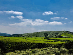 Taipei Departure: Yangmingshan Car Rental with Driver to Small Oil Pit - Bamboo Lake - Hot Spring Valley