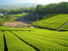 Osaka Area | Kyoto, Nara, Uji, Kobe, Himeji Castle Customized Day Tour | Private Chartered Car Free Itinerary