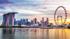 Singapore Private Car Tour 4 or 8H Flexible + Hotel Pickup