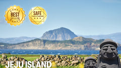 Jeju Private Car Charter Tour