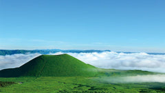 (Fukuoka Departure) Kumamoto Private Car Charter Day Tour | Kumamoto Castle, Suizenji Jojuen Garden, Kumamoto Bear Square, Mount Aso, Kusasenri, Kamishikimi Kumanoza Shrine, Aso Shrine, Shirakawa Suigen, Daikanbo | Private Customized Tour