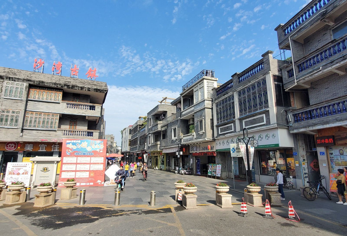 Private Car Charter Tour to Baomo Garden & Shawan Ancient Town One Day Tour