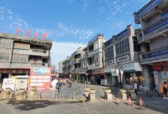 Private Car Charter Tour to Baomo Garden & Shawan Ancient Town One Day Tour