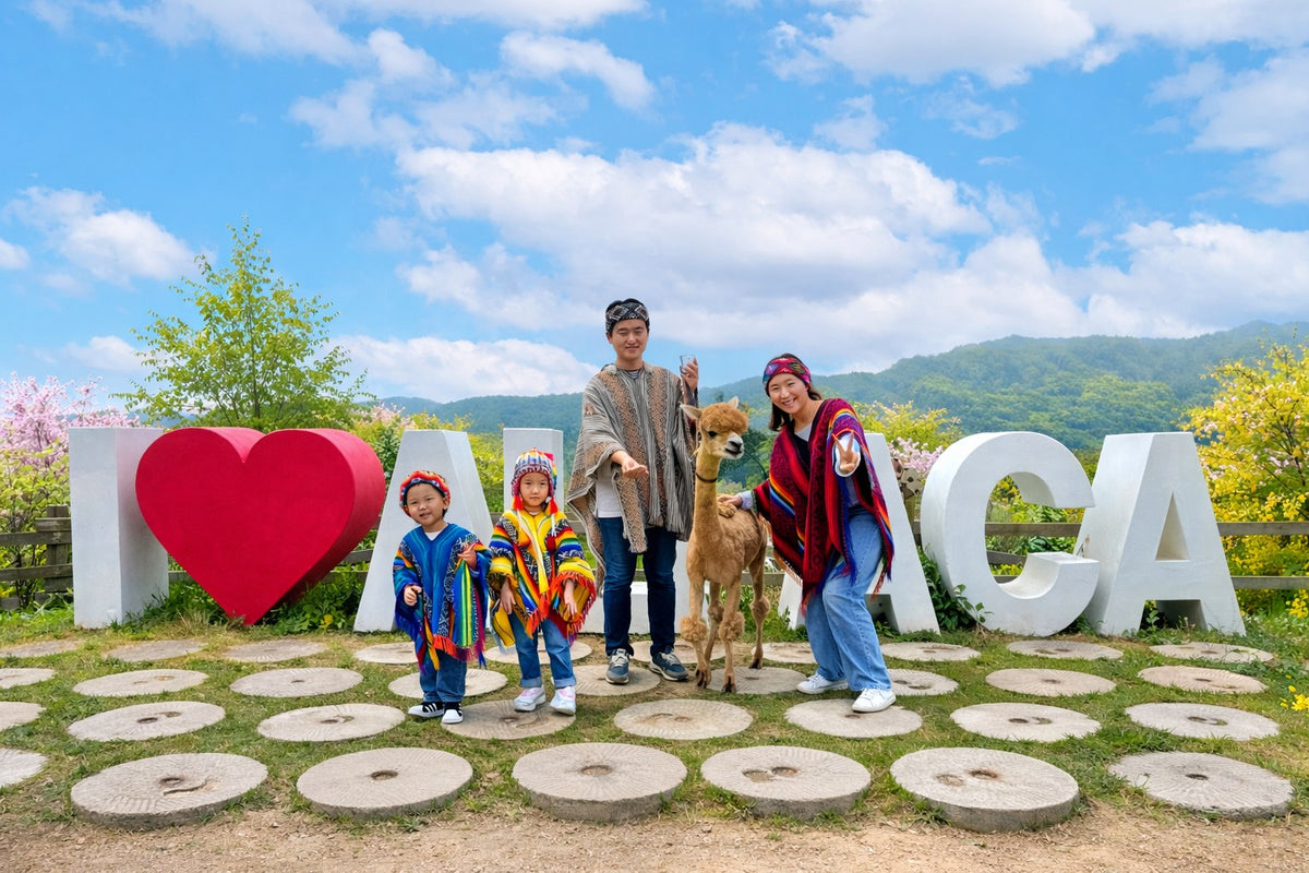 9-Hour Private Car Charter to Nami Island Suburb - Alpaca World from Seoul