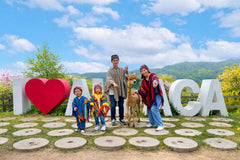 9-Hour Private Car Charter to Nami Island Suburb - Alpaca World from Seoul
