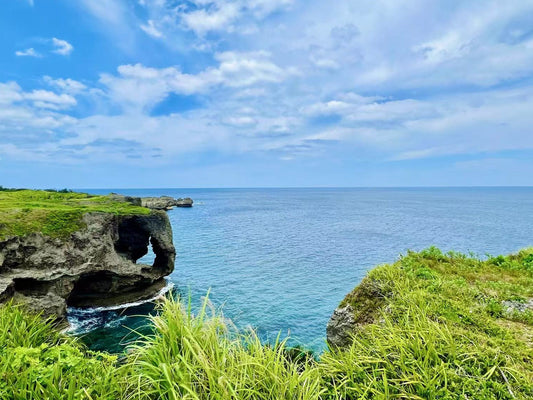 Okinawa: Private Chartered Car - Junglia Jurassic Park - Half - Day Tour - One - Day Tour